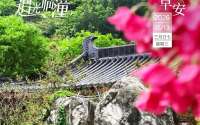 追光临潼 | 闲赏人间景 慢度好时光