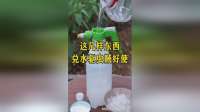 杀虫剂配方简单实用，自制效果显著，助力农民增产增收
