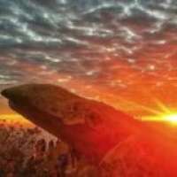 星火聊天下