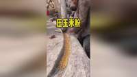 老一辈的智慧，不服不行！