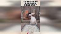 主人准备了一盘米饭，先出来的有饭吃，后面的着急堵车了！