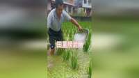 这么原生态的美味看着味道就不错呀