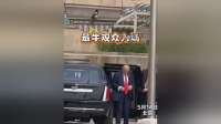特朗普访华喜鹊来抢镜，这场面够它吹一辈子了
