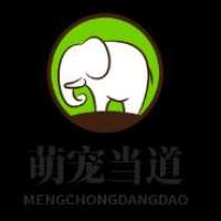 萌宠当道