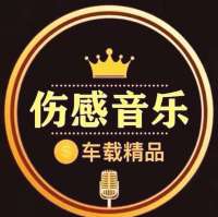 梦姐伤感情歌