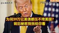 39万亿美债为何压不垮美国，背后全球收割逻辑剖析
