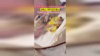 母亲拼命留住的1.6斤早产双胞胎1岁半了，当事人：轻舟已过万重山