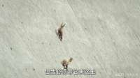 我带孩子走向百米深渊，不是寻死，而是为了换一种方式活下去