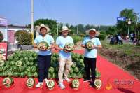 夏邑县西瓜采摘嘉年华启动