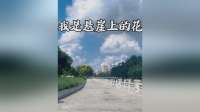 又一首杀疯全网的歌曲《我是悬崖上的花》太好听了，火爆全网
