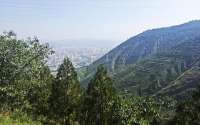 将军山林业管理站：守一片青翠 护一山平安