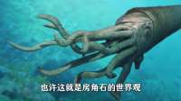 你吃掉的鱿鱼，它的祖先曾经让海洋颤抖四亿年