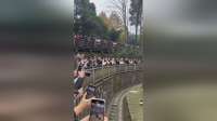 大熊猫花花遇爷爷反应引热议结局让人猜不透