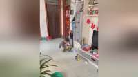 这个小孩有点可爱