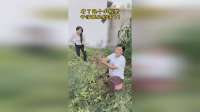 这样就轻松多了