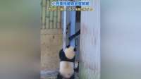 小月亮怕被收家，溜进员工通道秒怂跑出
