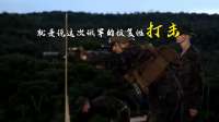 大鹅发动报复性打击