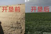 响应西部大开发赴喀什垦荒，十余年投上亿造良田，盼权益获保障