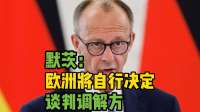 默茨：欧洲将自行决定乌克兰问题谈判调解方