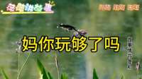 我刚退休，儿子就将3个孙子送来，我收拾东西去旅游：不当
