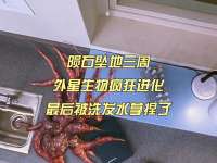 陨石坠地三周，外星生物疯狂进化，最后被洗发水拿捏了