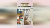 怀孕到底能不能同房，丈夫一句反问，山羊医生直接无语了！