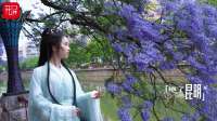 绝了昆明 （90）｜不用挤街巷，泛舟盘龙江坠入蓝紫色花海