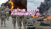 立此为据，这几天大鹅必造重大打击