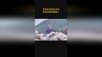 李连杰扮做放羊女，把官兵都给整懵了