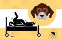 狂犬病：猎魔异闻录