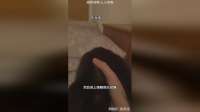 当黑貂被你握在手上时，它就会可怜巴巴的看着你