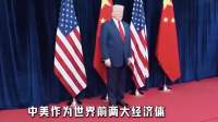 面对美国公然施压，我们是否应接收，在美滞留的十万无证中国公民