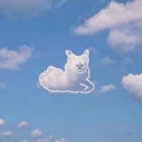 时光慢邮啊