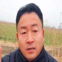 是蒜农高哥