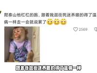 陪女朋友逛街的男朋友统一标准