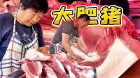 农村笨养大肥猪真好卖，华哥刚抬上来就疯抢，一下卖了一头猪