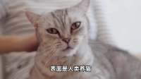 从喵叫到婴儿啼哭：猫咪如何通过声音与人类深度互动