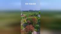 5月13日 山东菏泽，不敢相信！这片“莫奈花园”才是夏天的隐藏惊喜！