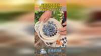 蓝莓采摘需要筛选，从大到小价格差距巨大，最大的一般人吃不起！